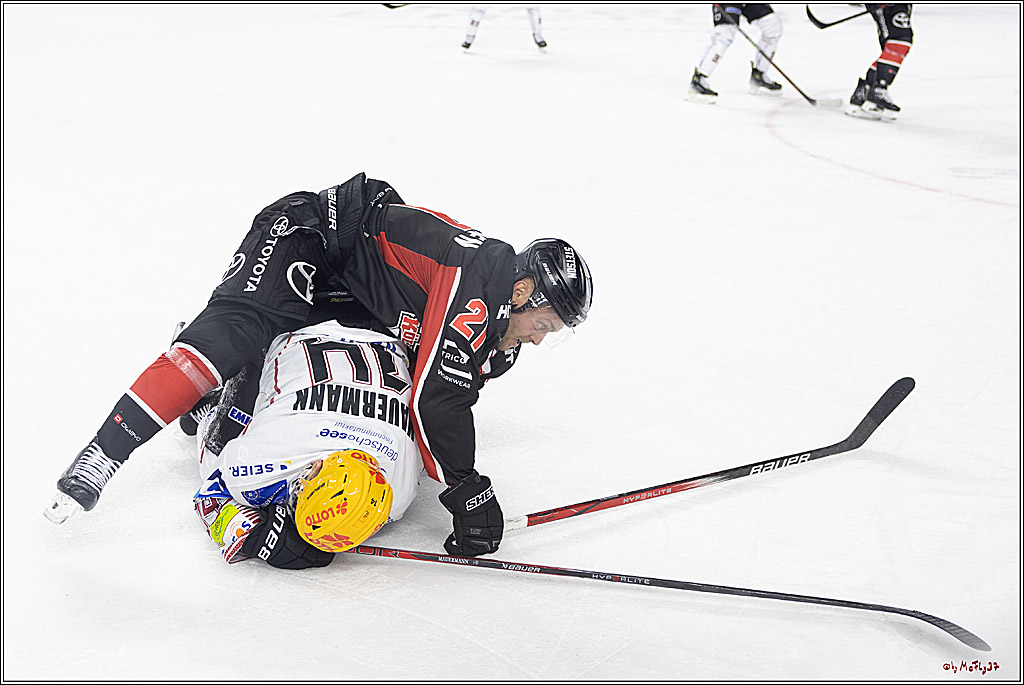 PENNY DEL 1; Kölner Haie - Fischtown Pinguins; Köln, 15.11.2024